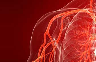 João Batista - Foto 1