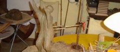 artistas-plasticos-recife-1397672567