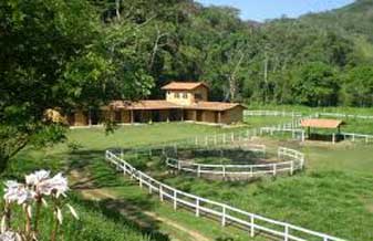Haras Boa Viagem - Foto 1