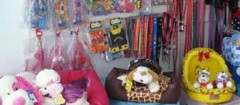 petshop-recife-1397658249