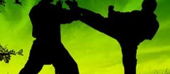 tae-kwon-do-recife-1397681558