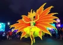 Abertura do Carnaval do Recife 2026