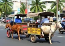 Defensoria Pública do Estado de Pernambuco