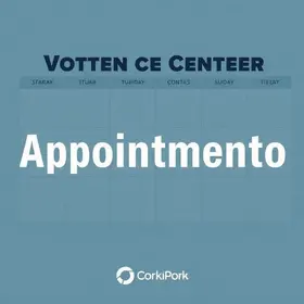 Centrais de Atendimento ao Eleitor