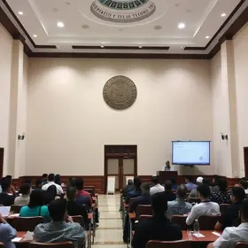 ensino do direito constitucional