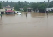 emergência em Pernambuco