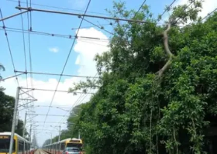 Últimas Notícias de Recife