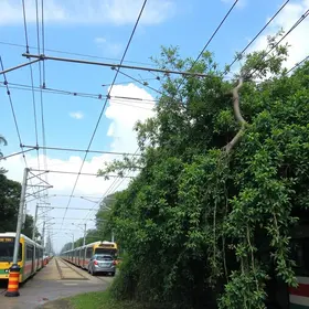 linha Centro do Metrô do Recife