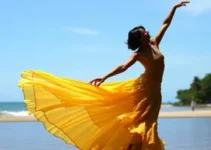 Festival Internacional de Dança do Recife